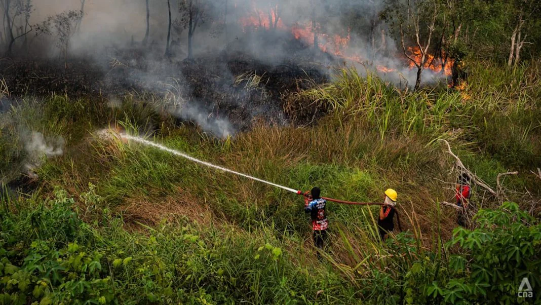 source-cna-malaysia-indonesia-fires