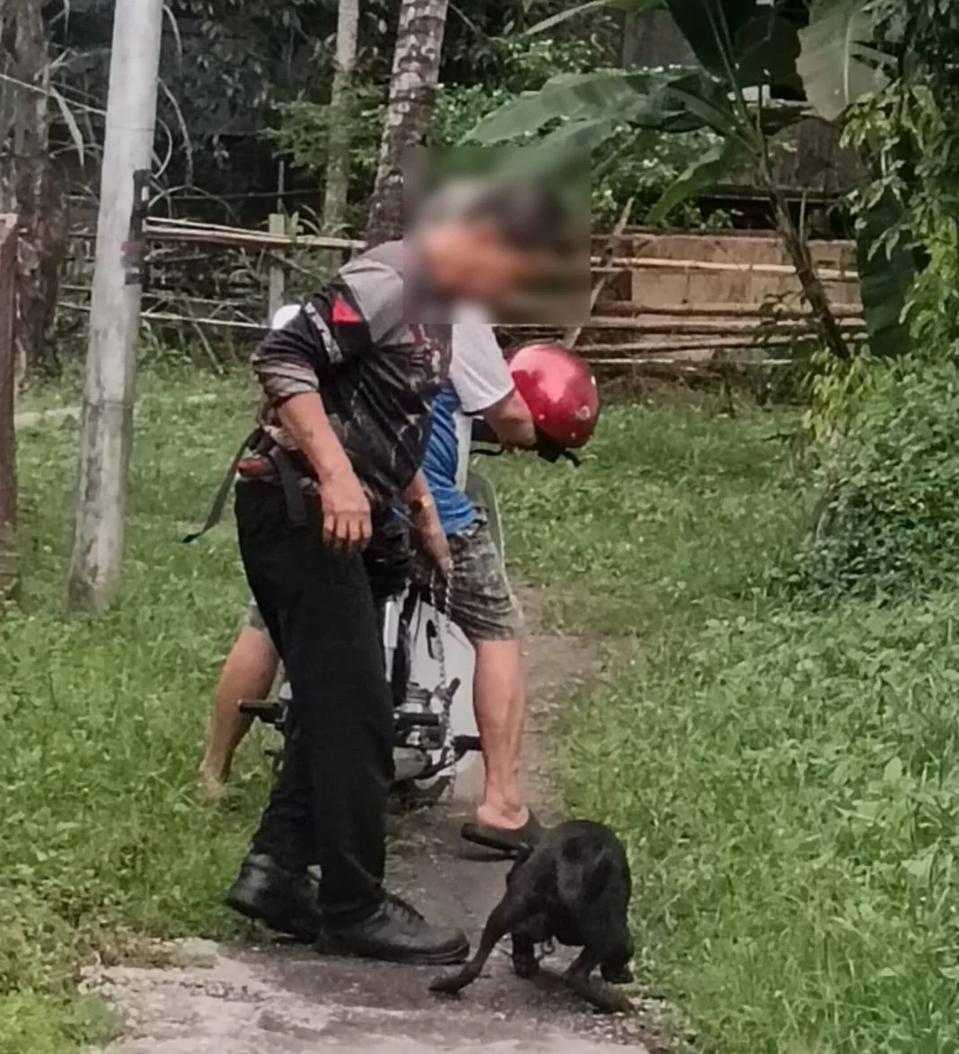 source-nst-dog-dragged-motorcycle
