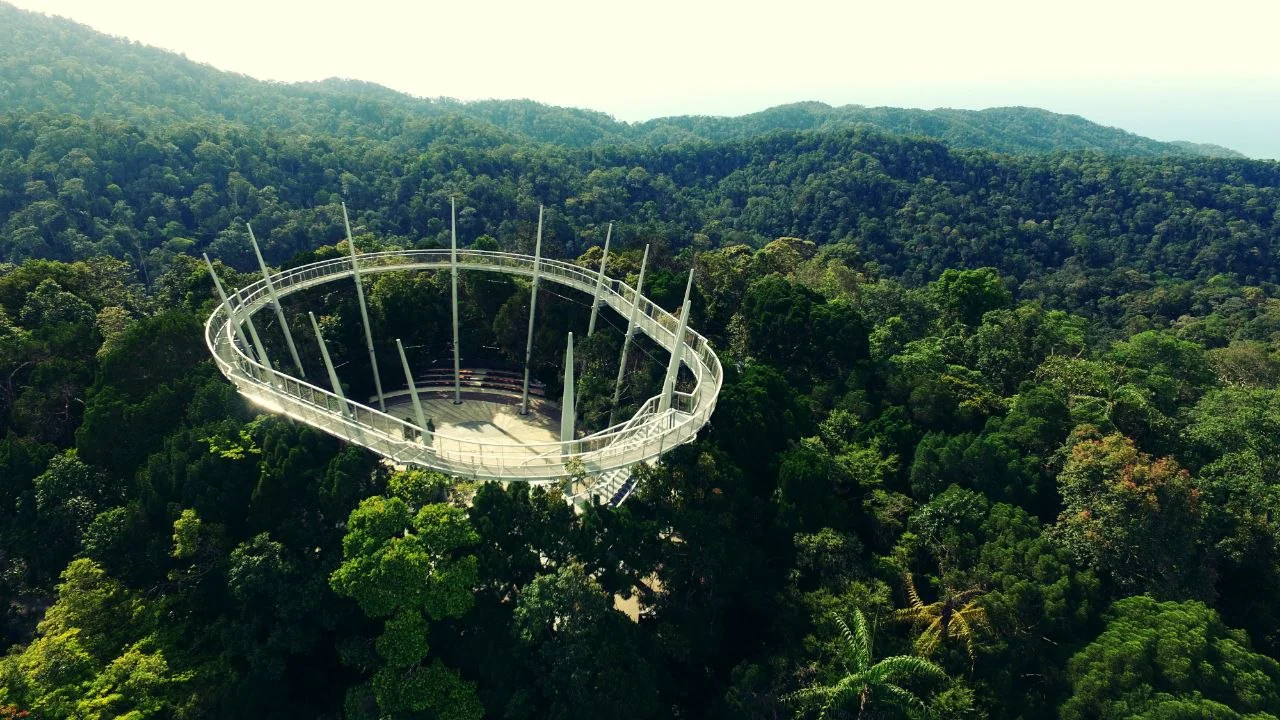 A canopy walk above the rainforest in Penang