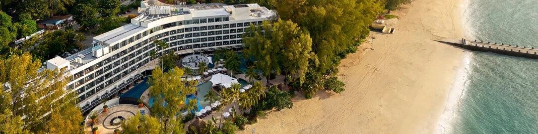 website_slider